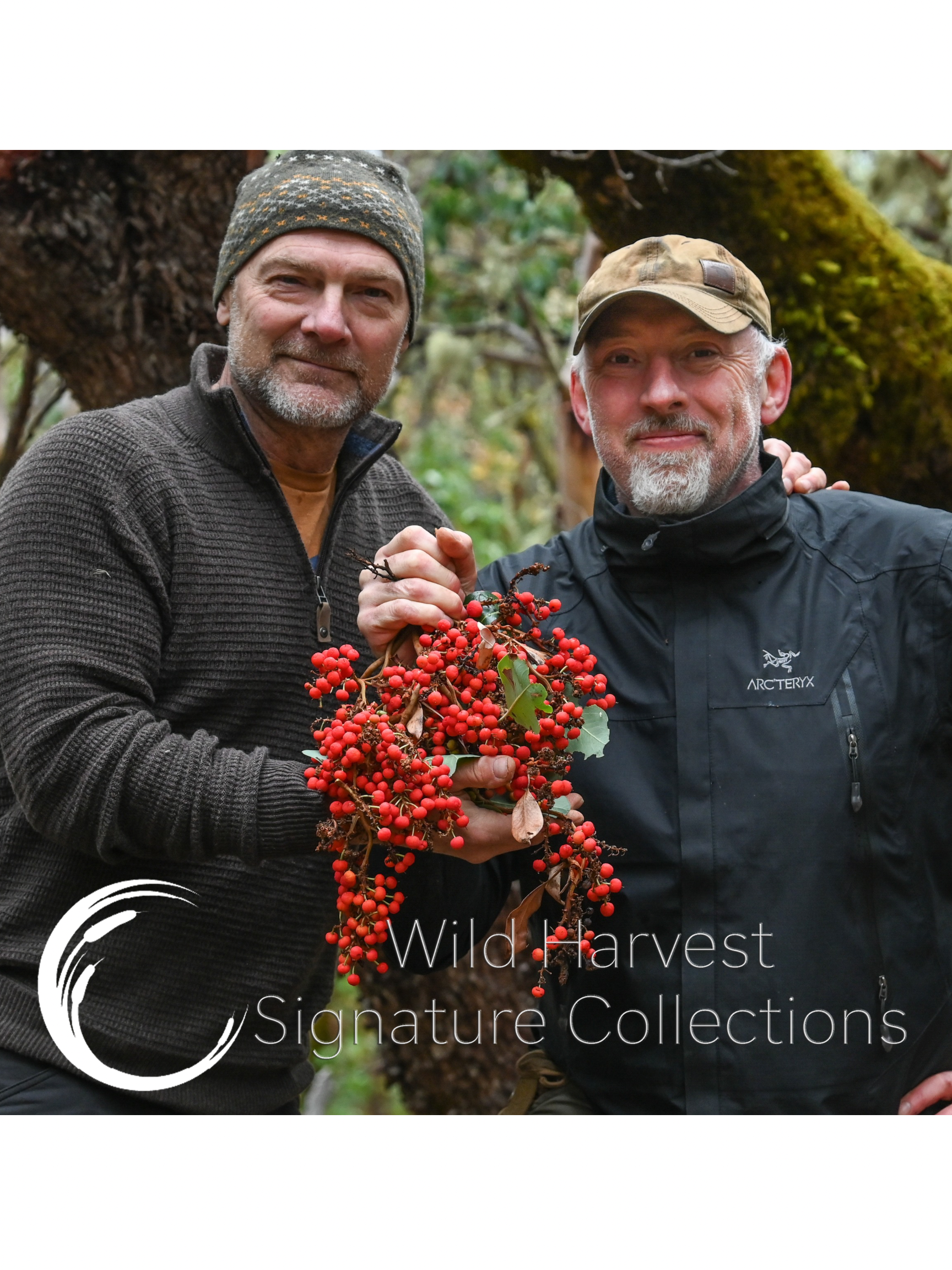 Wild Harvest Signature Collection – LT Wright Knives