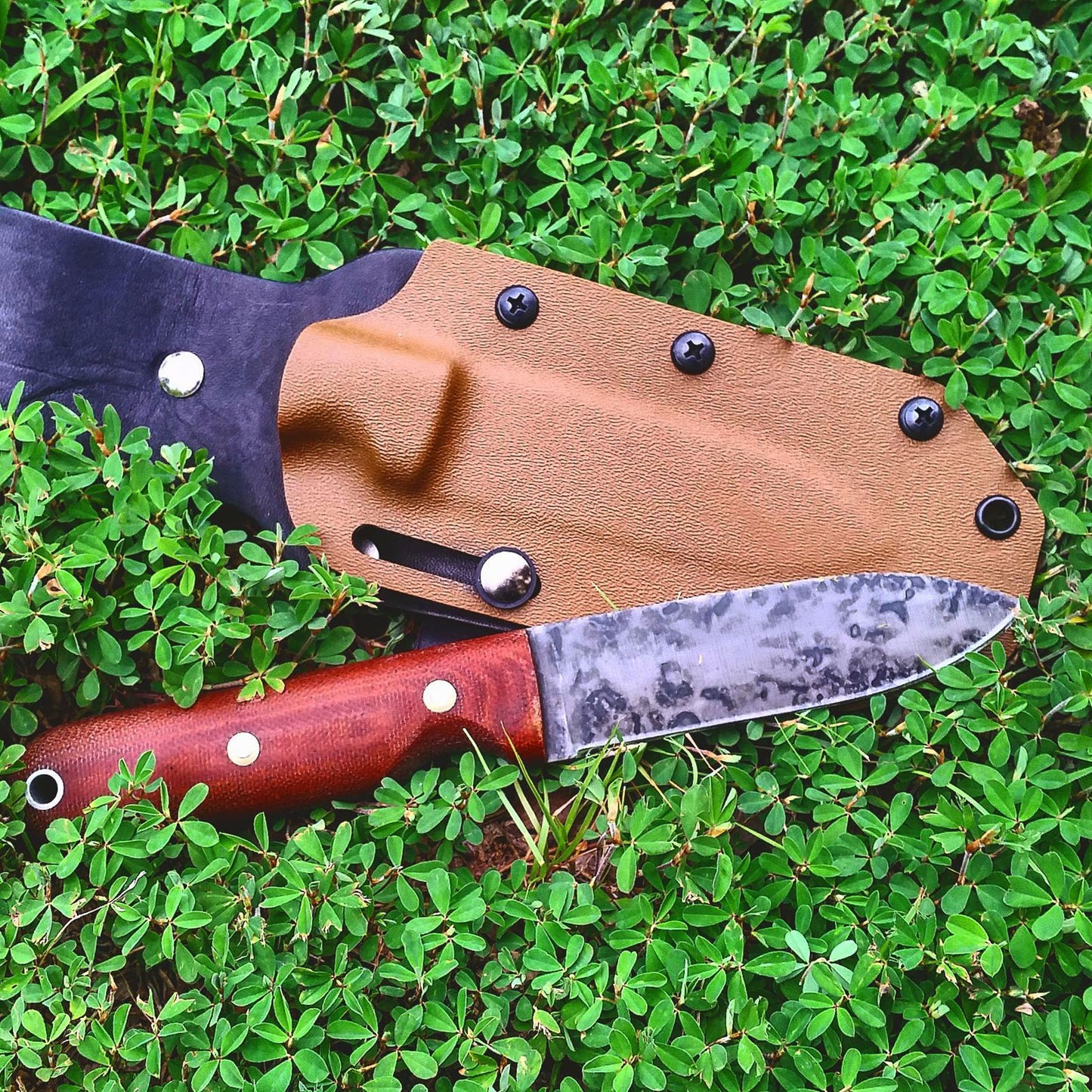 Coyote Kydex with Leather Backer