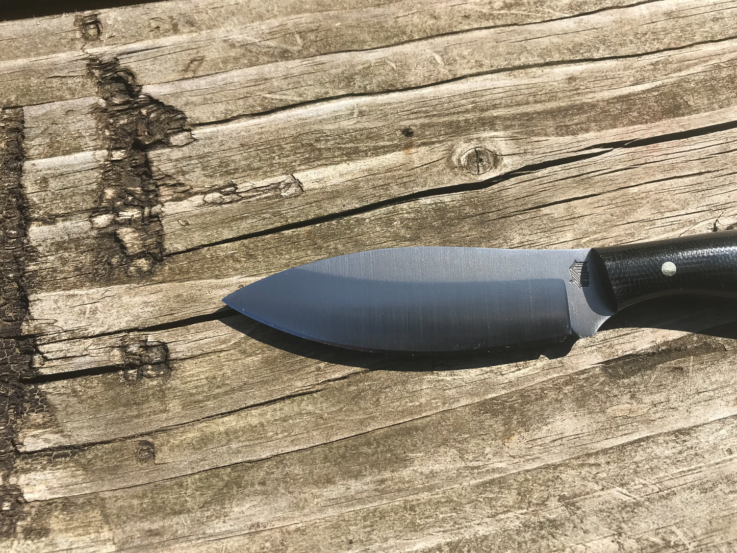Small Northern Hunter