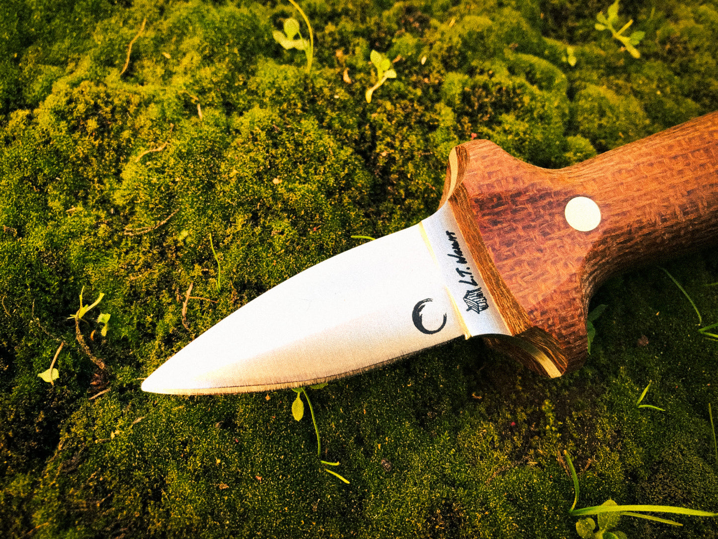 Wild Harvest Chef Paul Oyster Knife