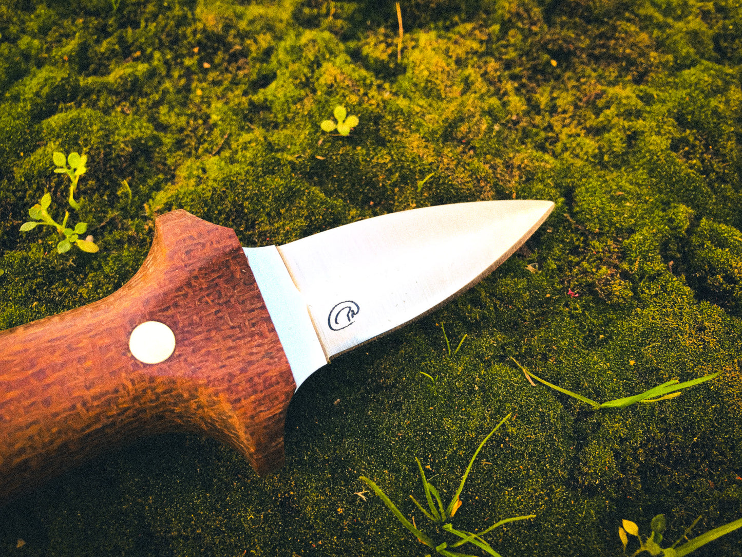Wild Harvest Chef Paul Oyster Knife