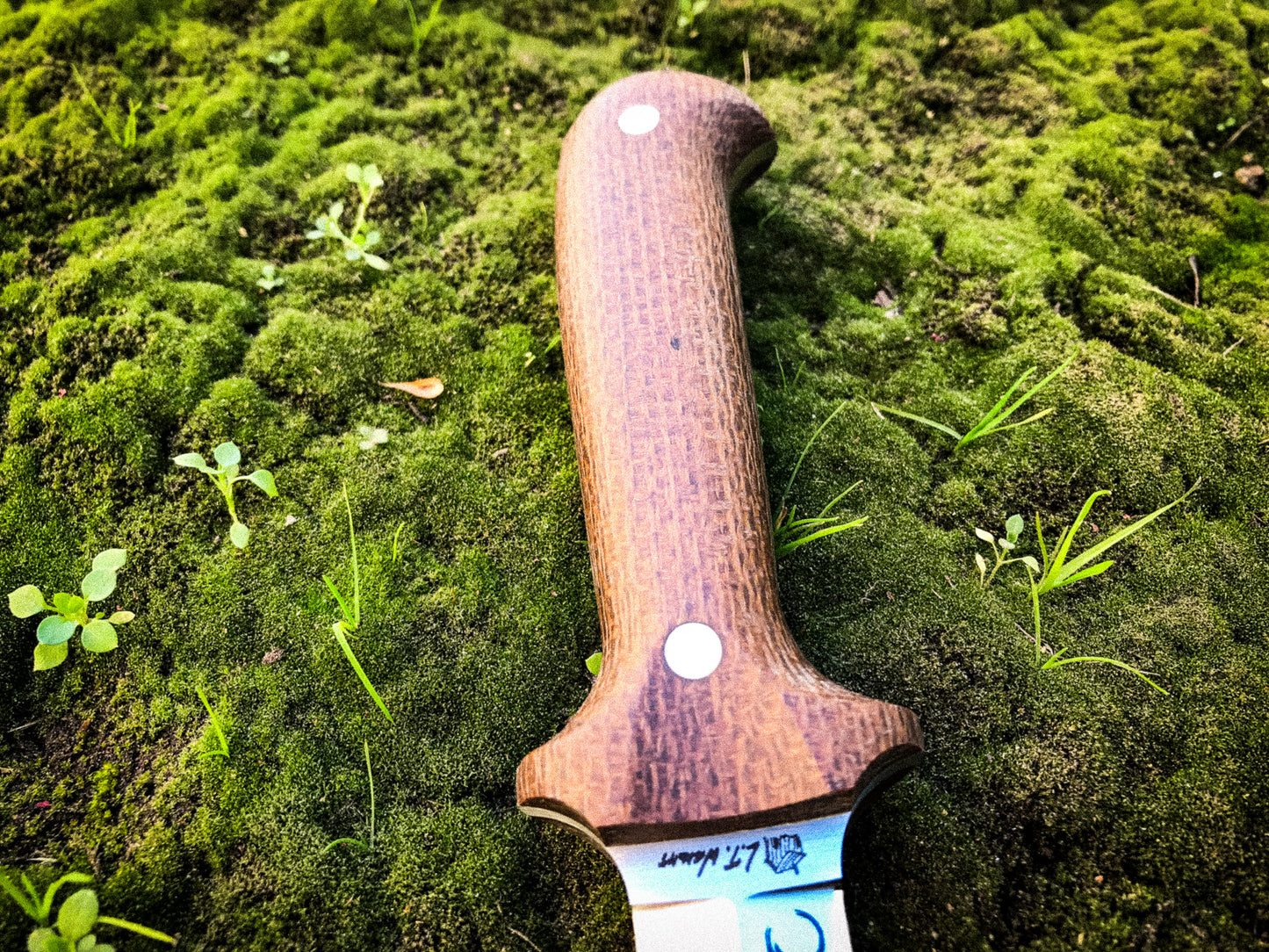 Wild Harvest Chef Paul Oyster Knife