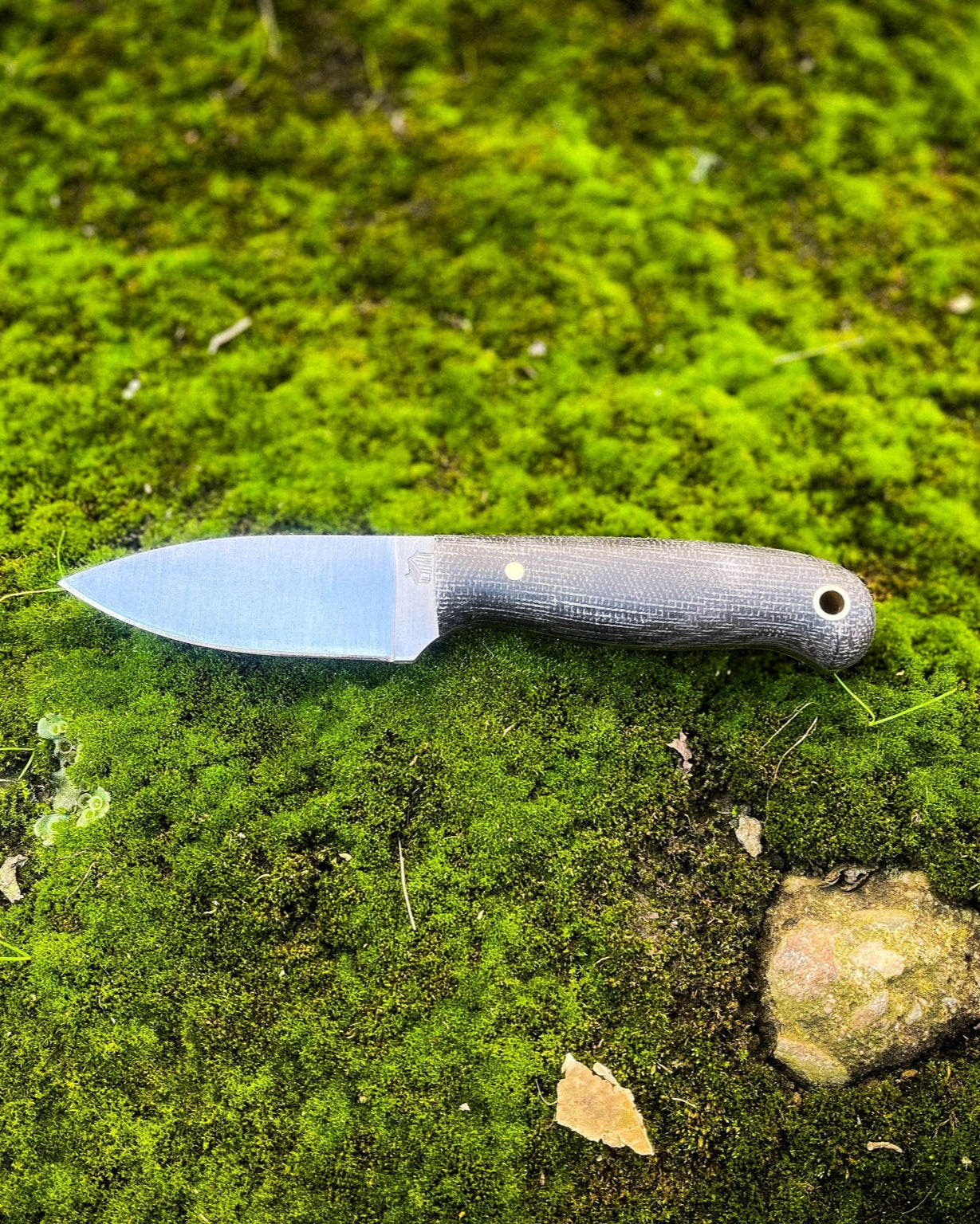 Knife with a black handle on a green mossy surface